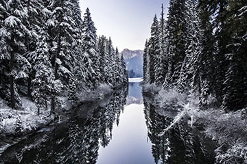 Snow covered trees lining a body of water with a mountain in the background