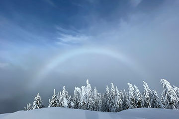 A rainbow over a frozen trees and snowy landscape