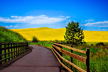 A fenced walk way in a field with blue skies and hills in the distance