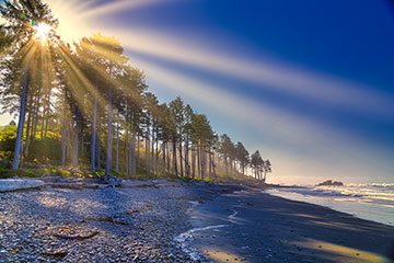 The sun peeking through the woods by the beach