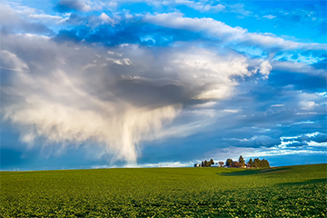 A wide open field with a blue sky and massive clouds in the distance
