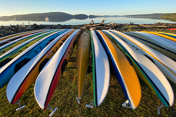 A row of boats arranged neatly by a beach