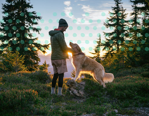 A man and a dog standing in the middle of the woods