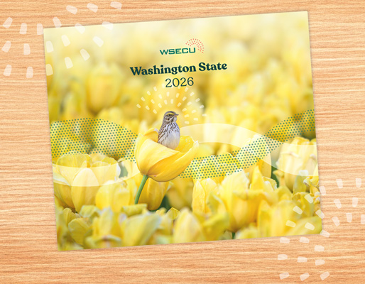 WSECU 2026 calendar cover