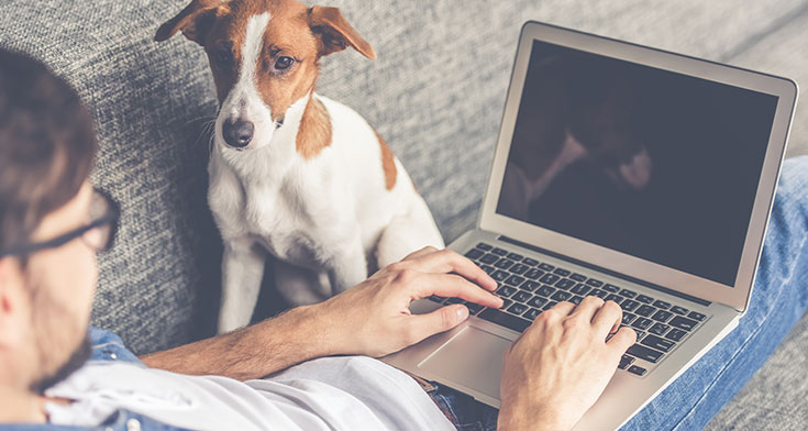 DocuSign Explained
