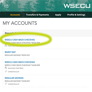 My Accounts screen with green circle around selected account