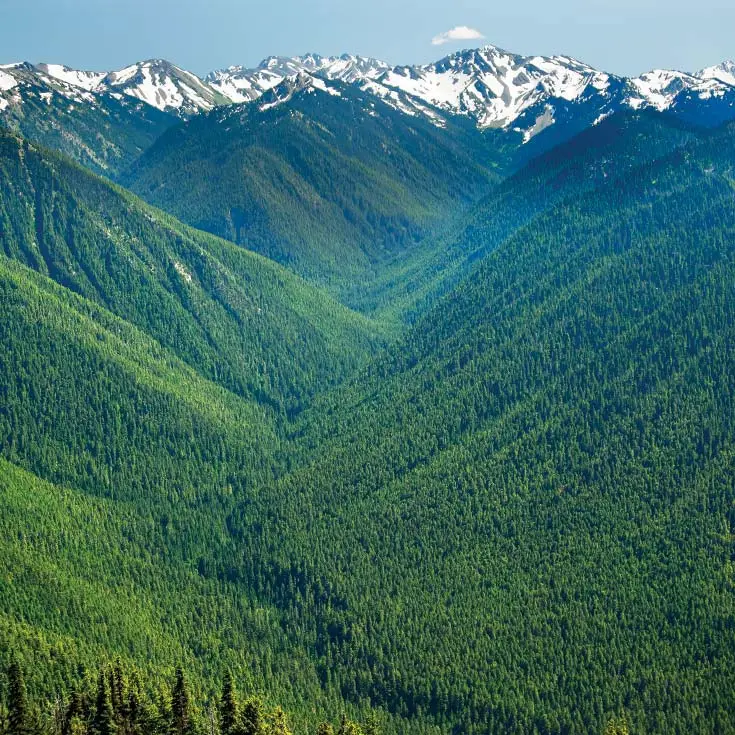 Washington state mountains