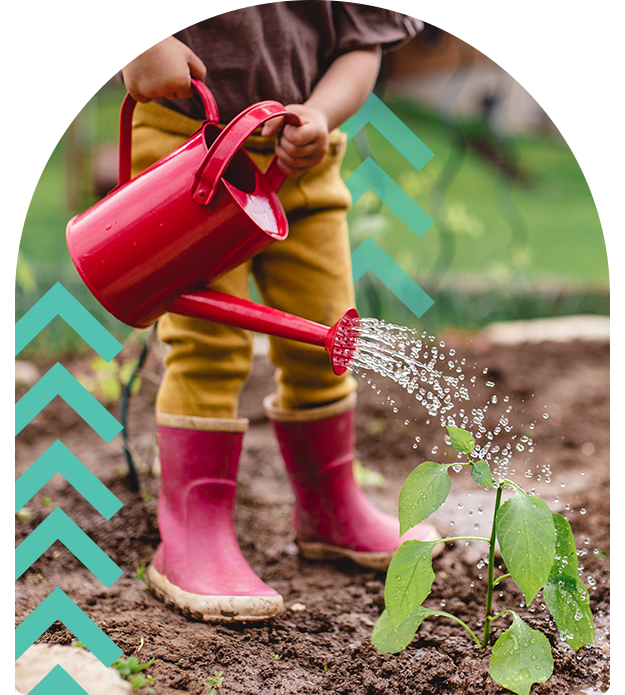 Close-up of a person watering a newly planted seedling in moist soil.